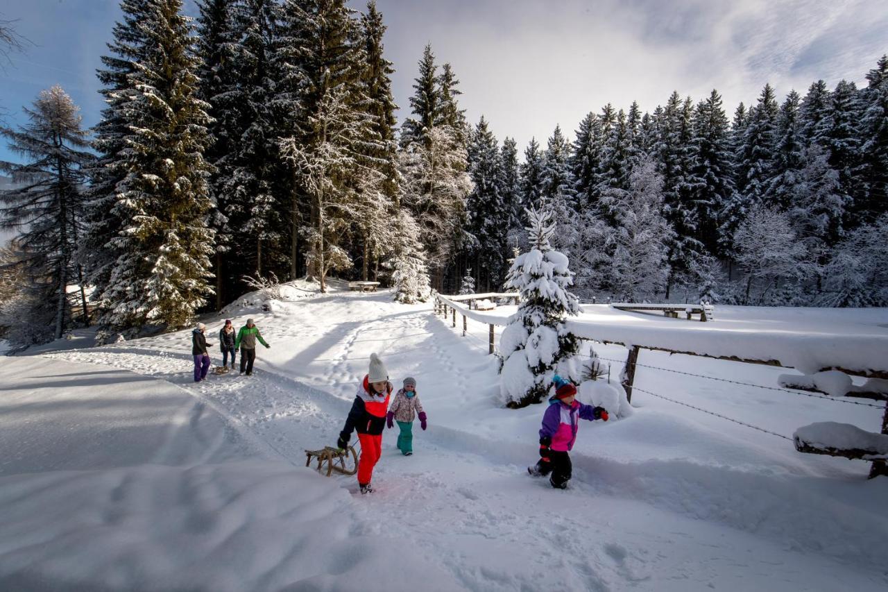 Chalet "Knusperhaeuschen" Villa Murau Buitenkant foto